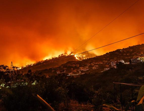 bush fire
