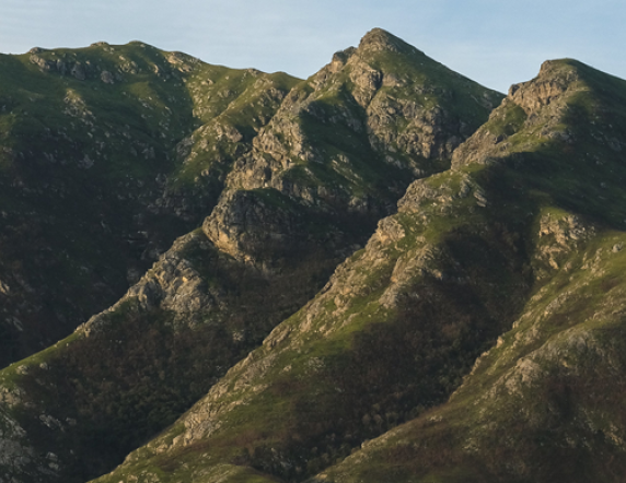 mountain tops