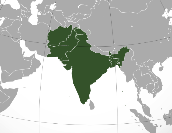 A part of a white and grey globe of the world with South Asia highlighted in green and surrounding countries in white 